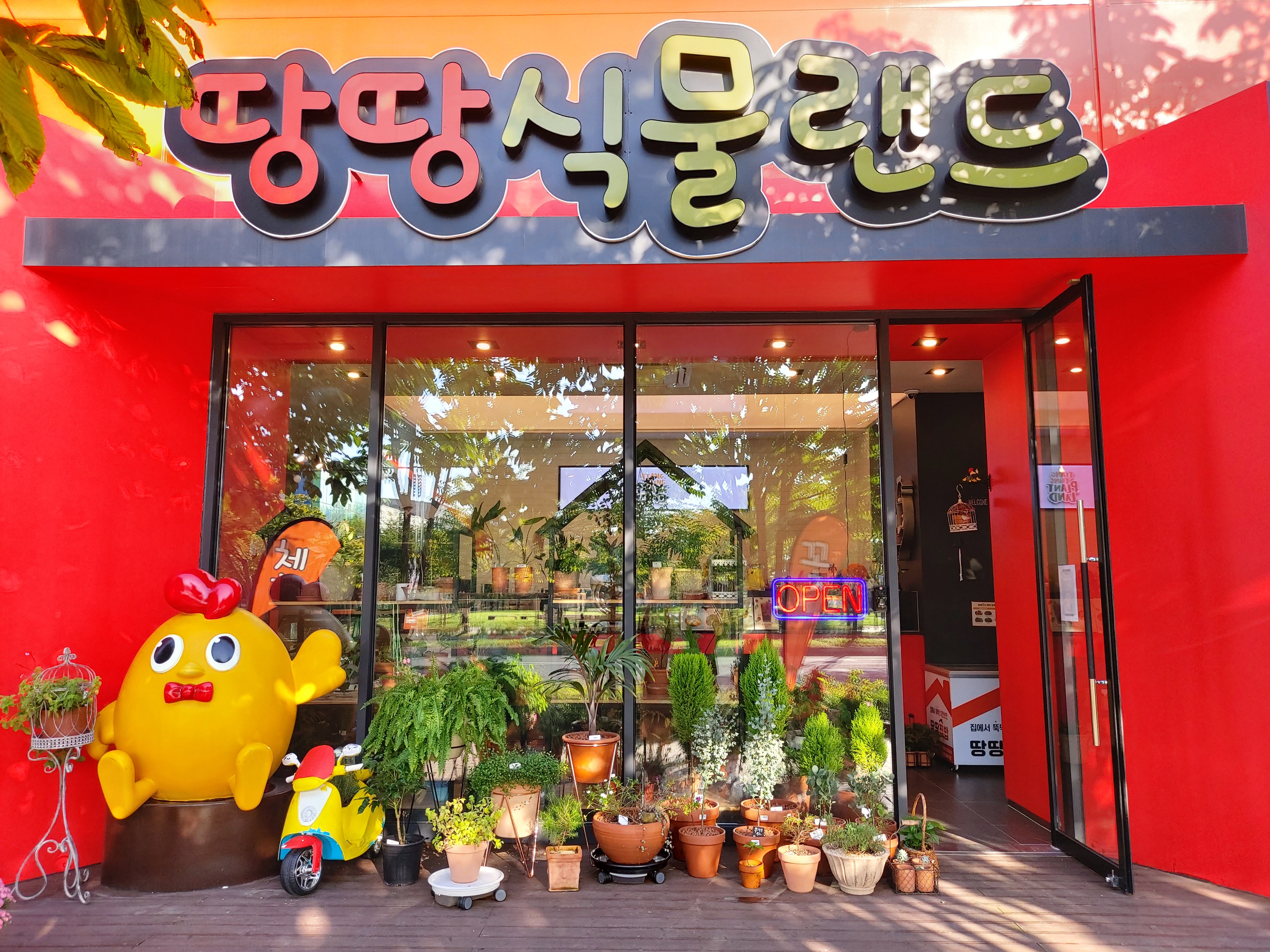 땅땅식물랜드