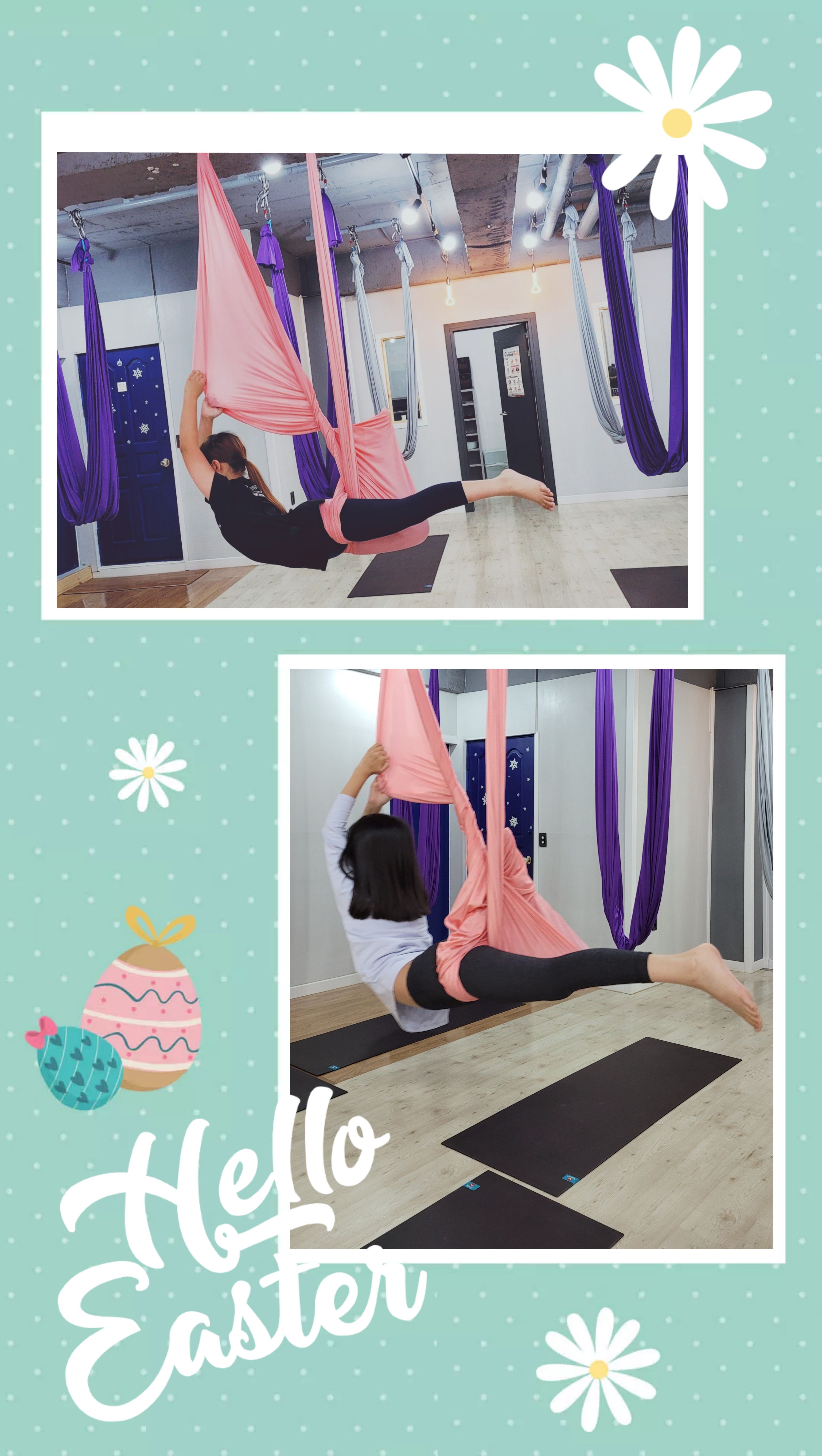 팝 플라잉 요가 앤 해먹 필라테스 대표 이미지