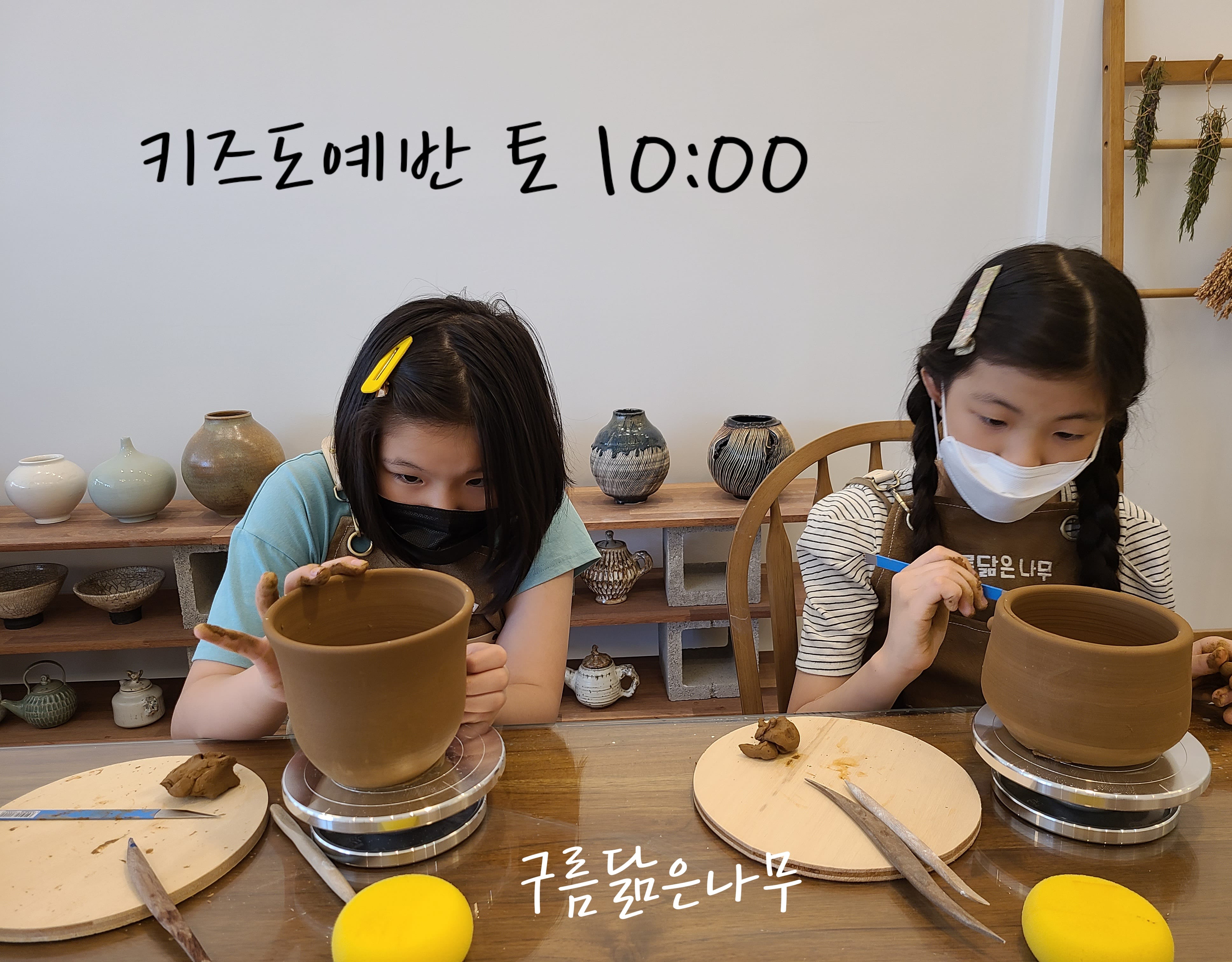 구름닮은나무