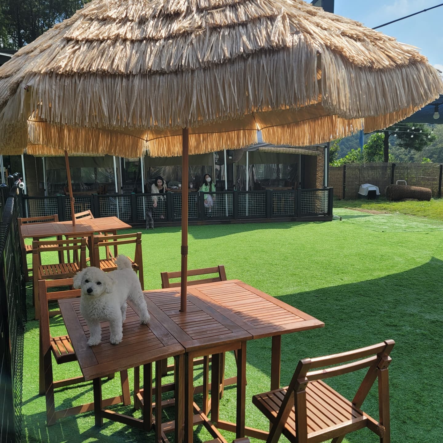 주변 가볼만한 곳