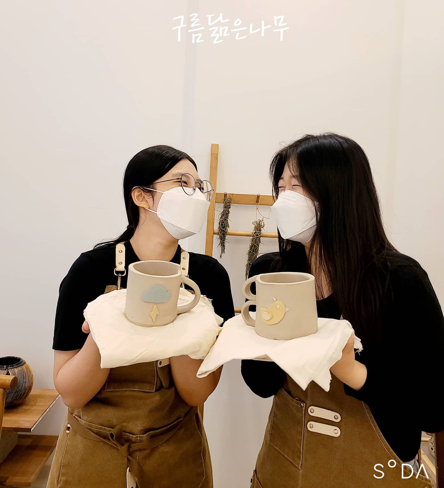 구름닮은나무