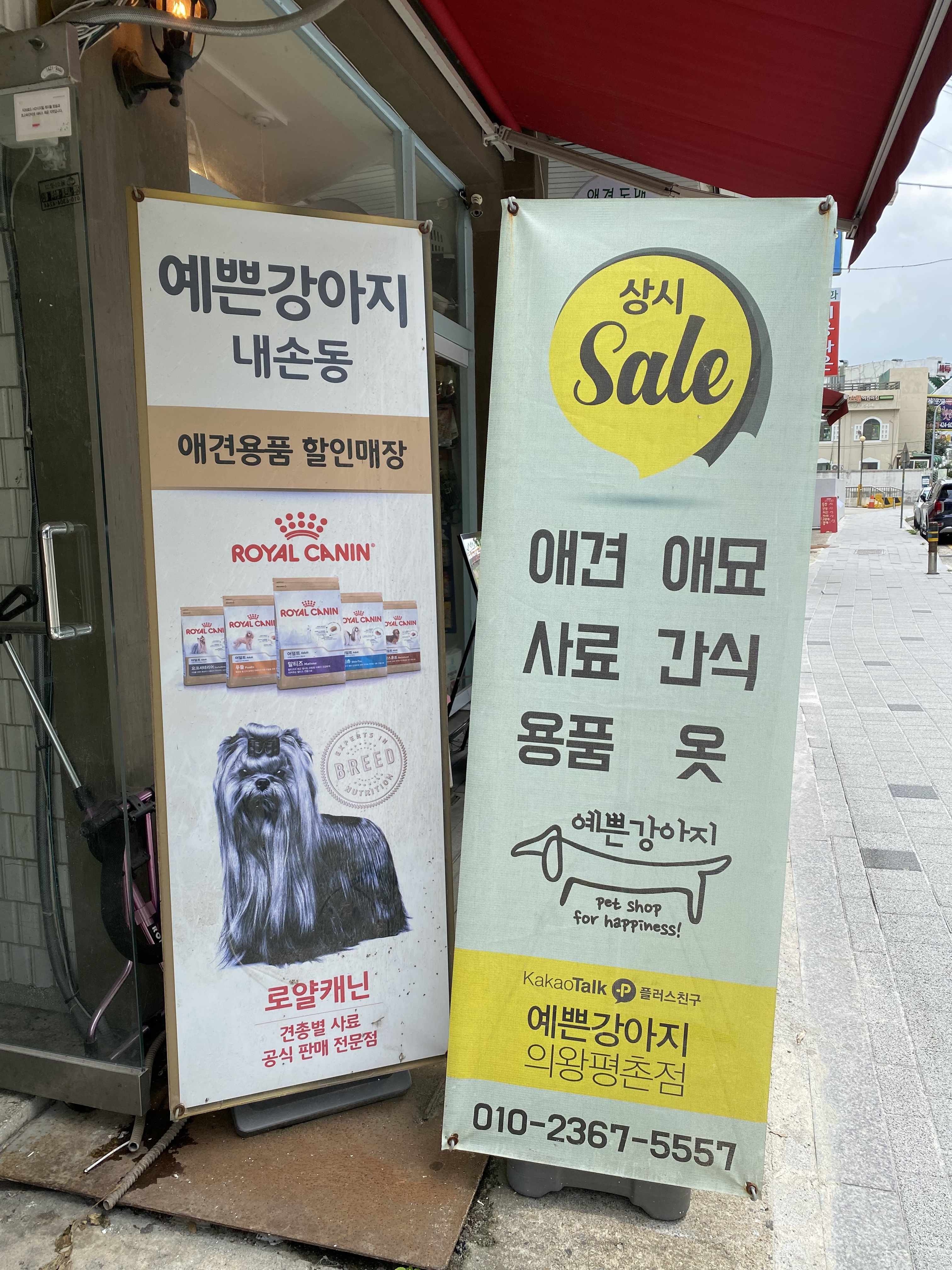 예쁜강아지 대표 이미지