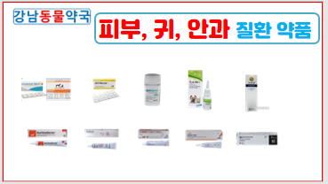 강남동물약국 대표 이미지