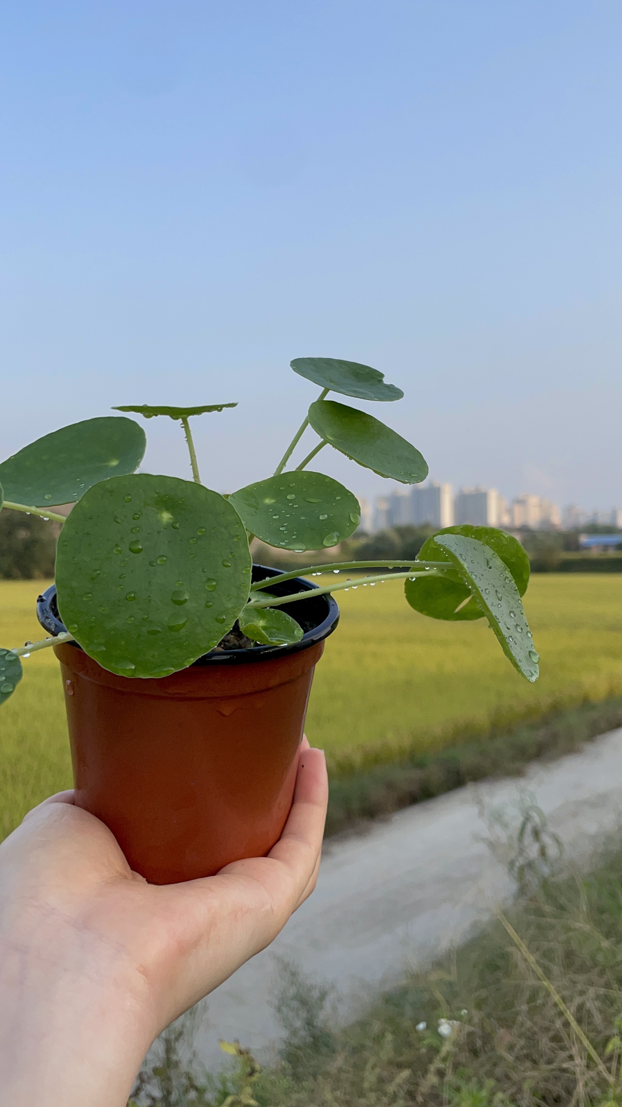 플라워에코하우스