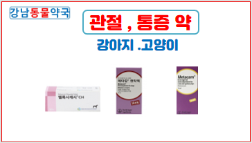 강남동물약국 대표 이미지