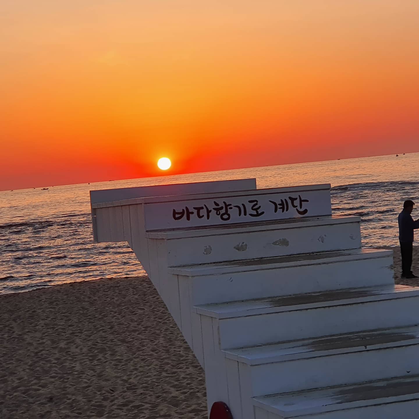 속초비치호스텔 (Sokcho Beach Hostel) 10