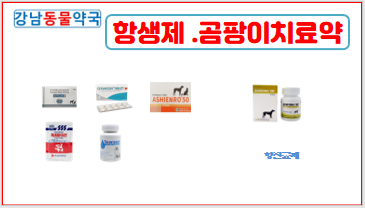 강남동물약국 대표 이미지