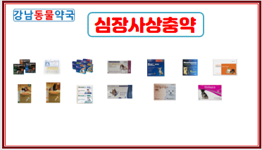 강남동물약국 대표 이미지