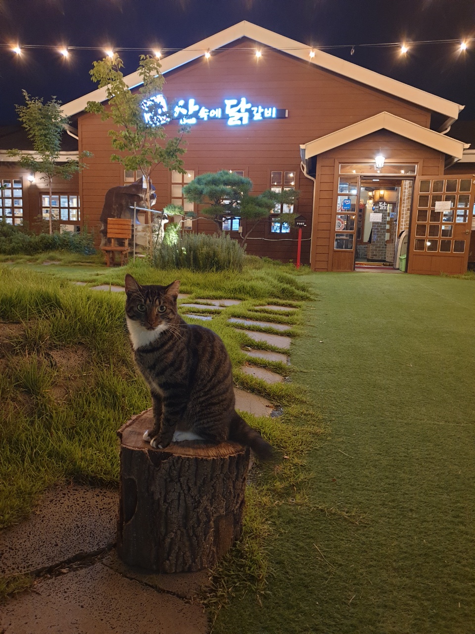 춘천산속에닭갈비