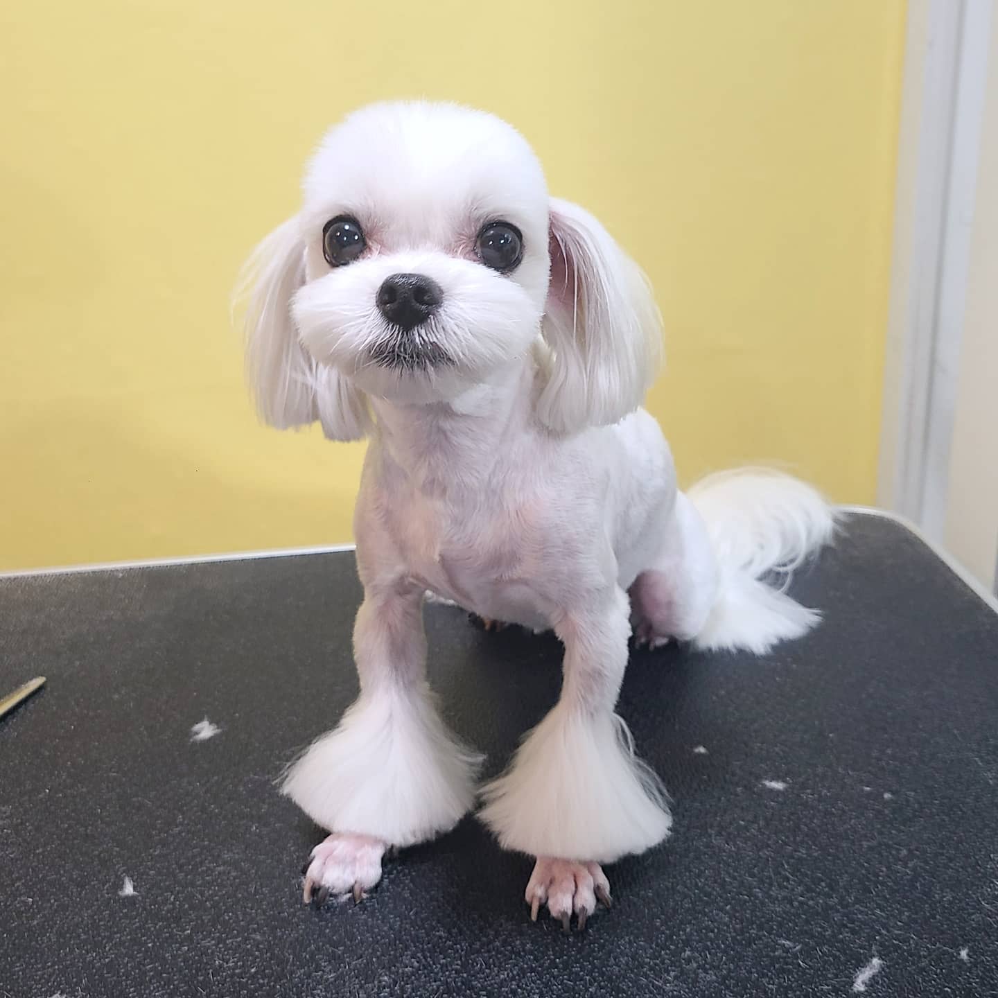 이미지
