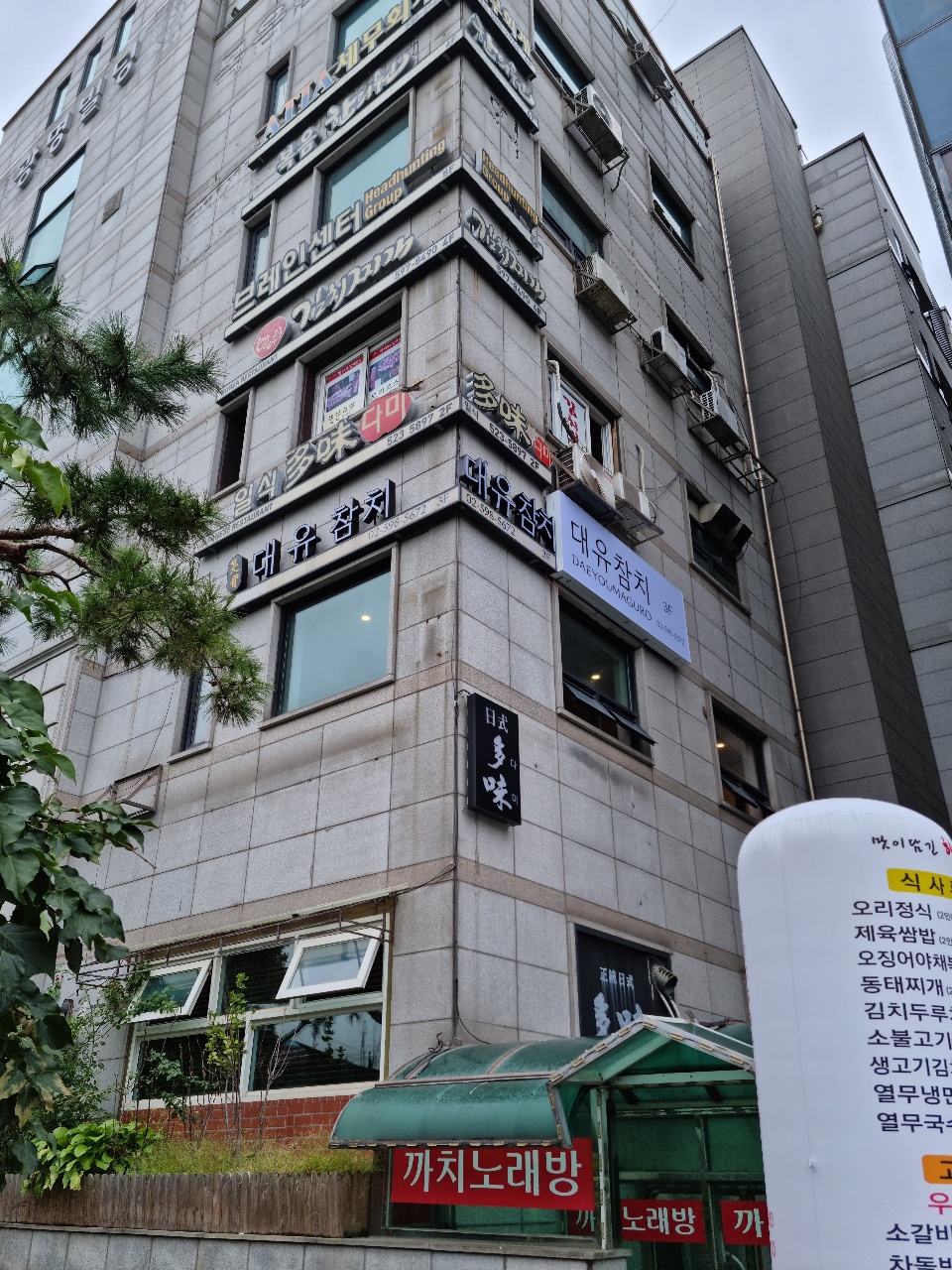 대유참치