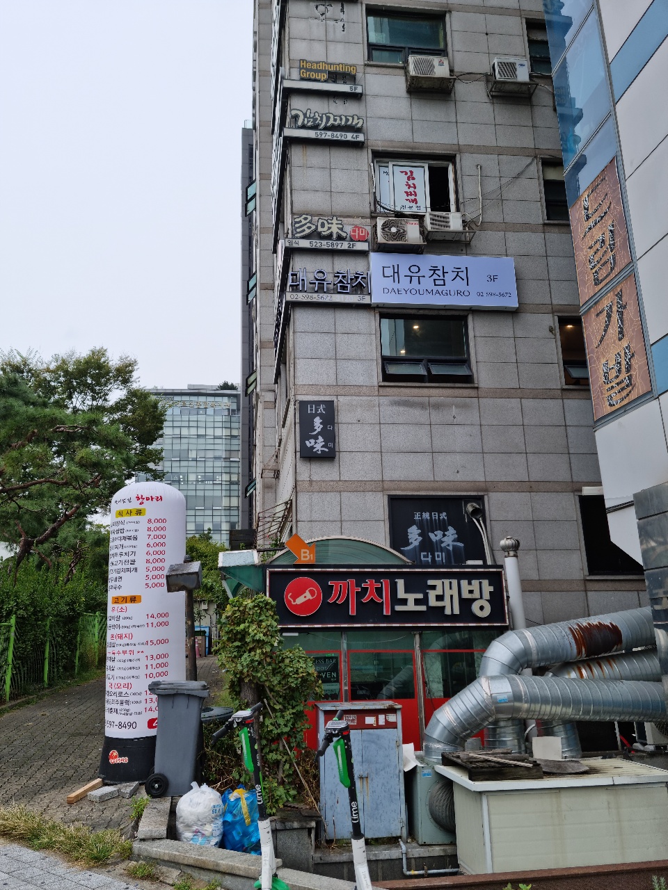 대유참치