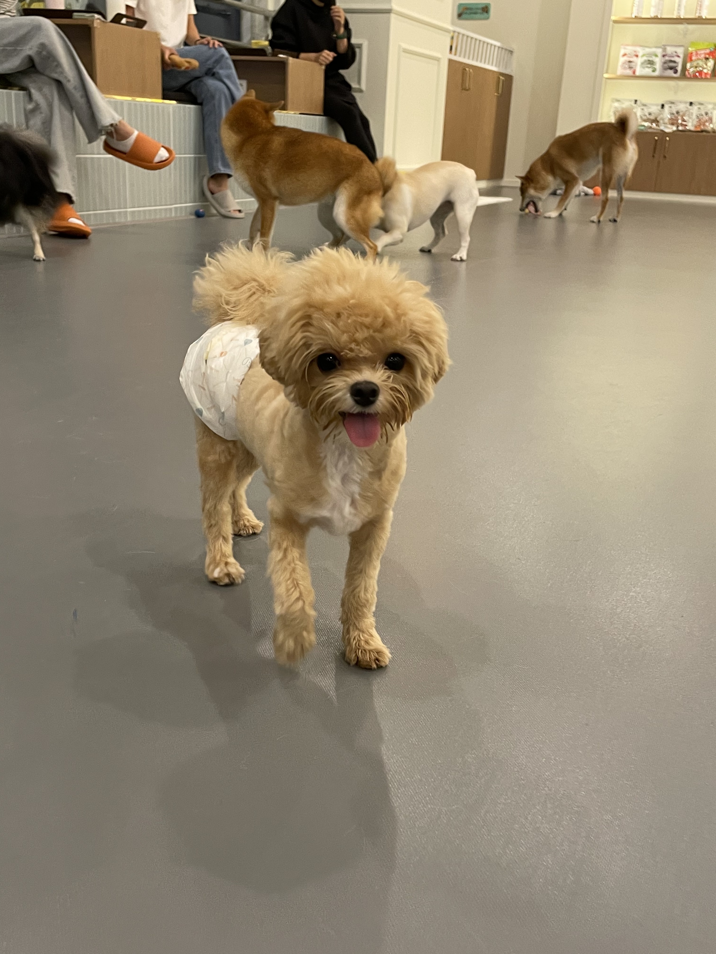 우다다멍 대표 이미지