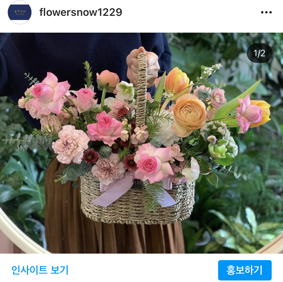 꽃눈개비플라워
