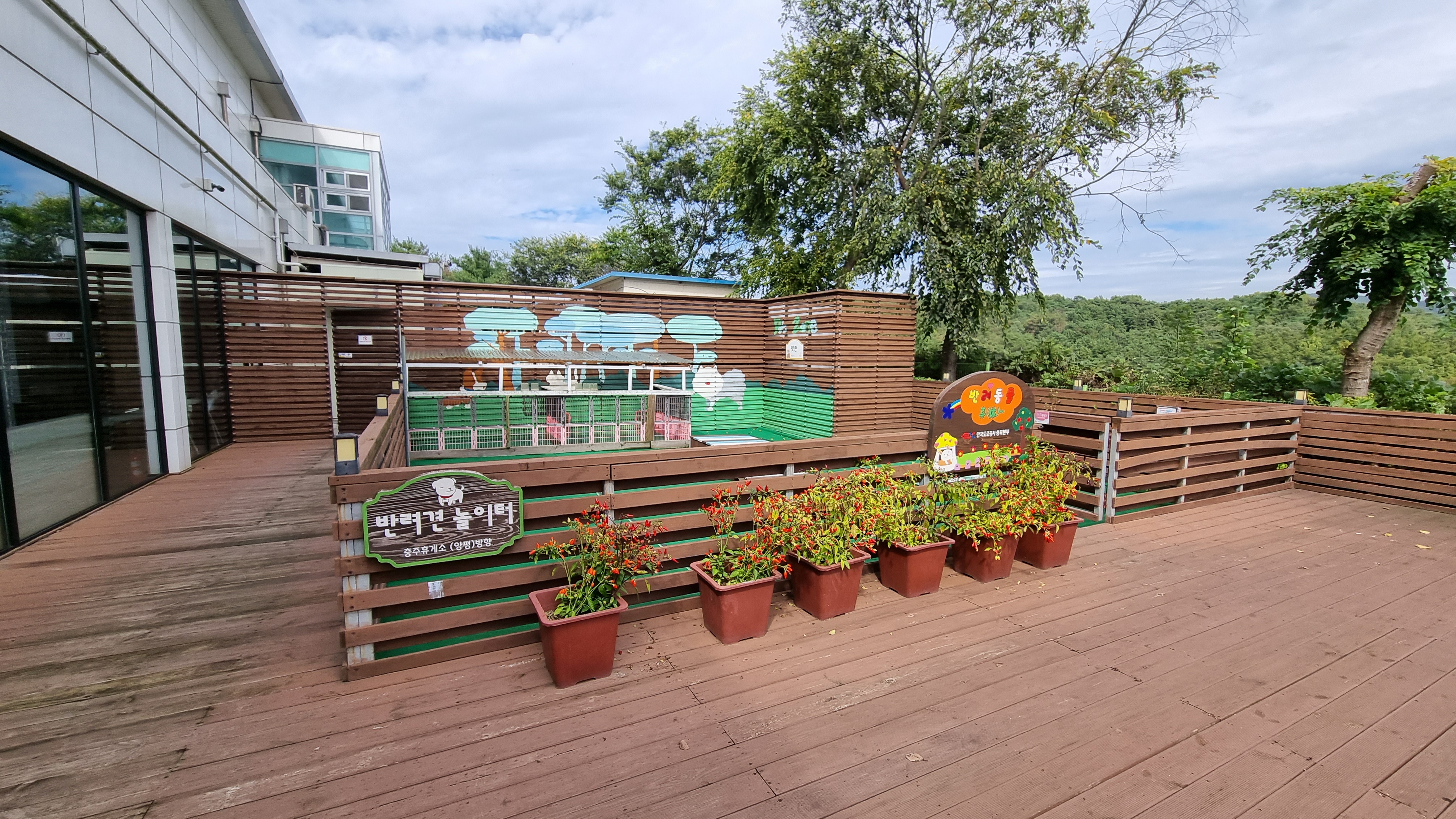 충주휴게소(양평방향)반려견놀이터 대표 이미지