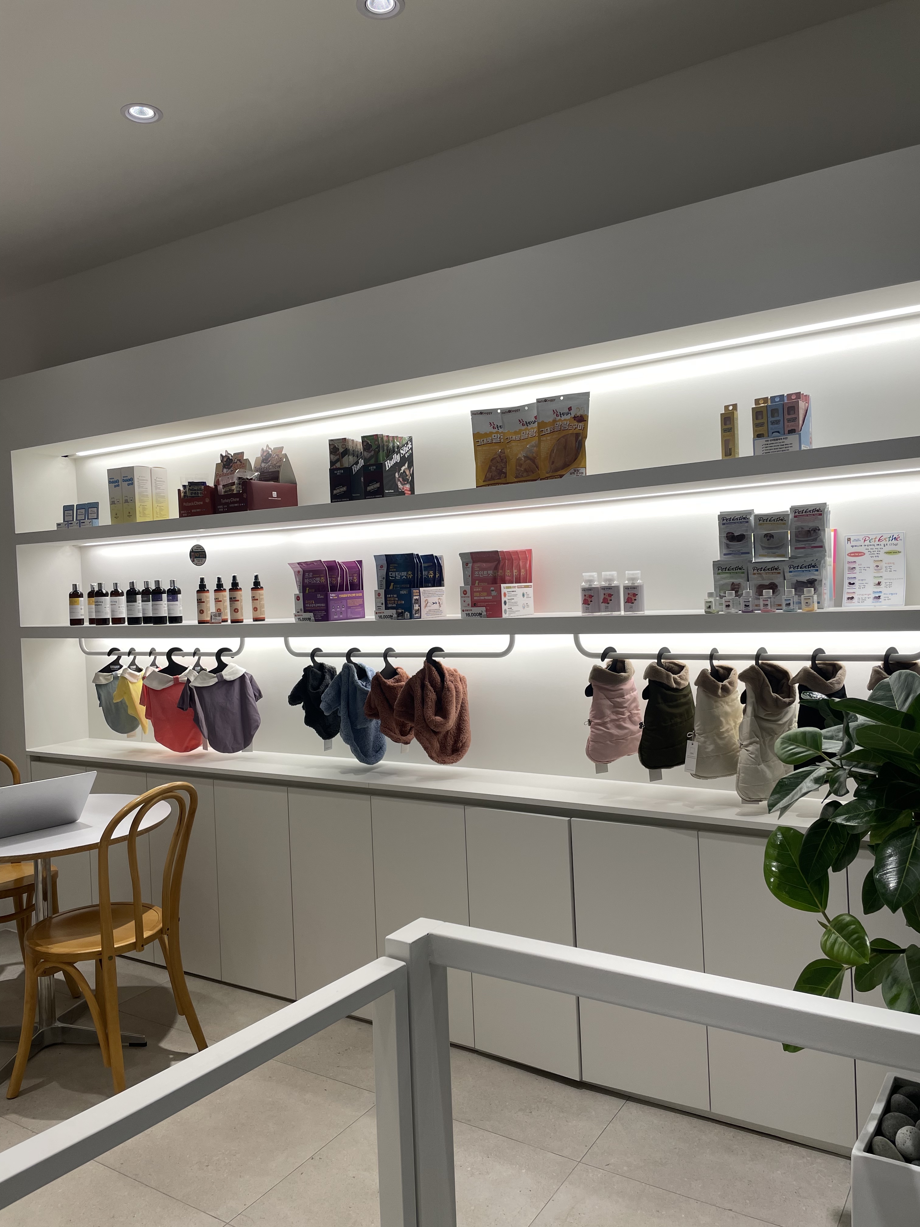 멍둥이 대표 이미지