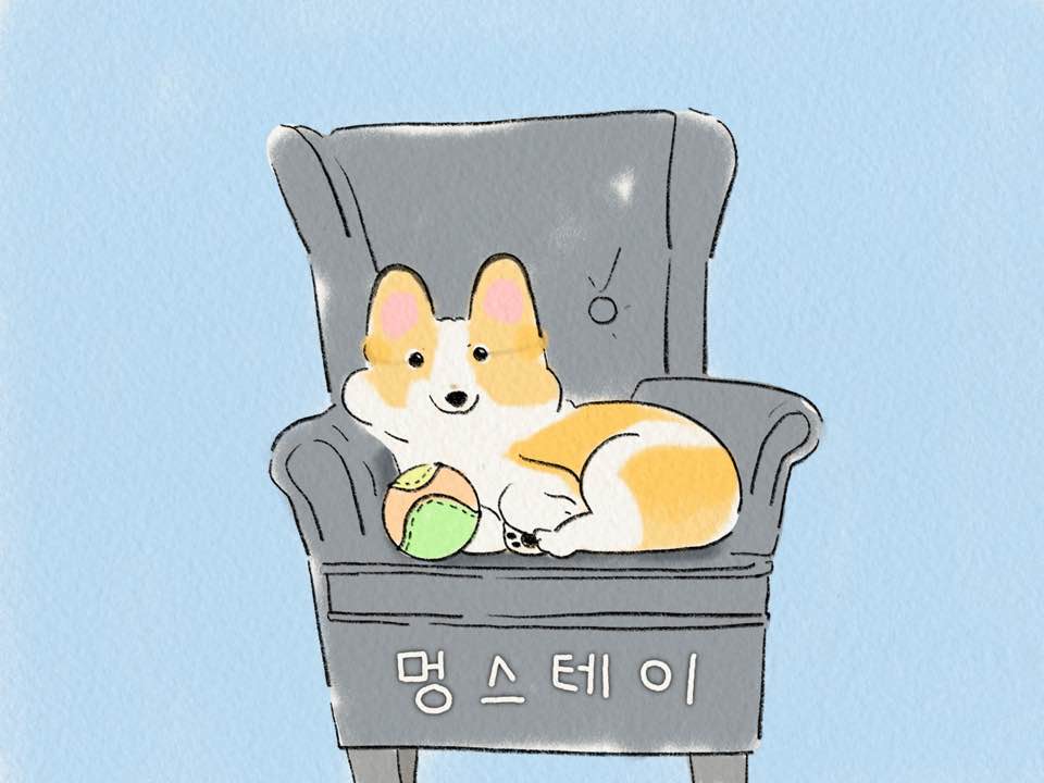 이미지