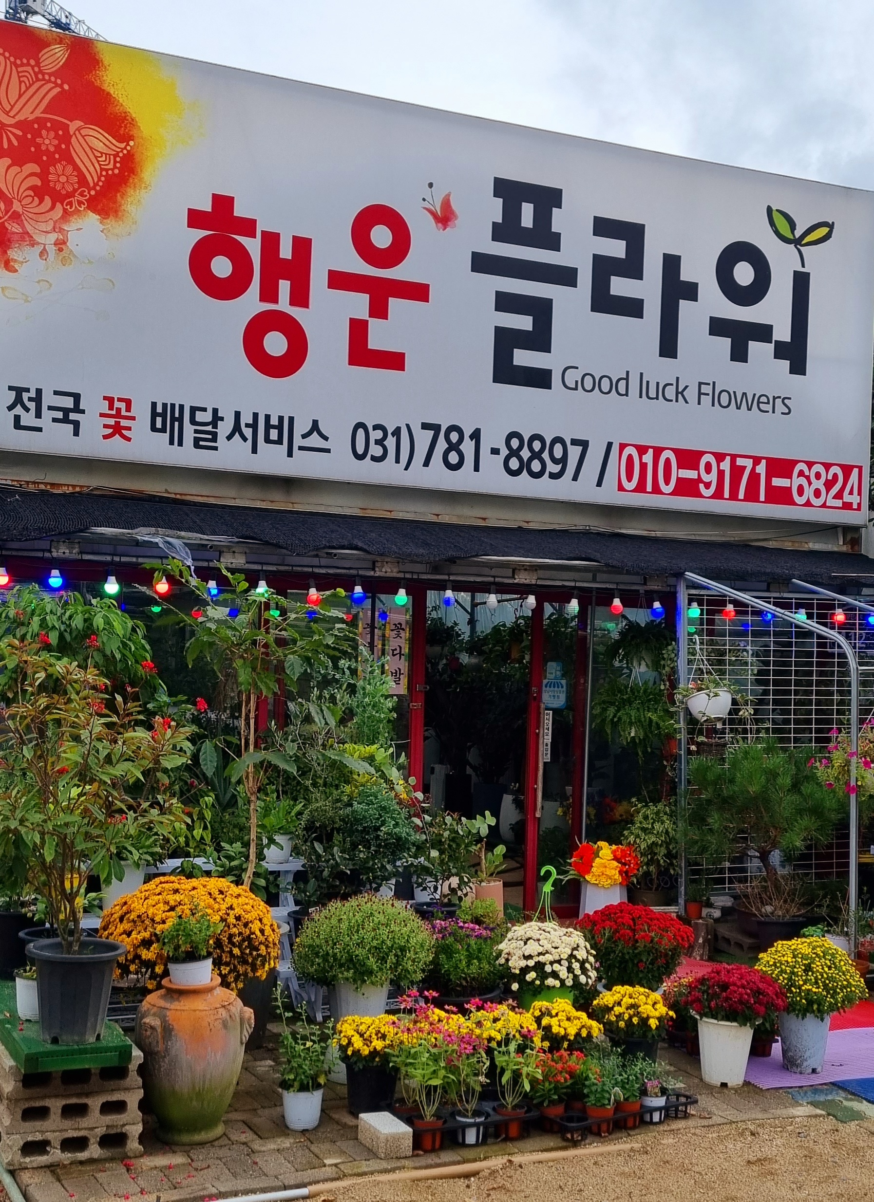 행운플라워