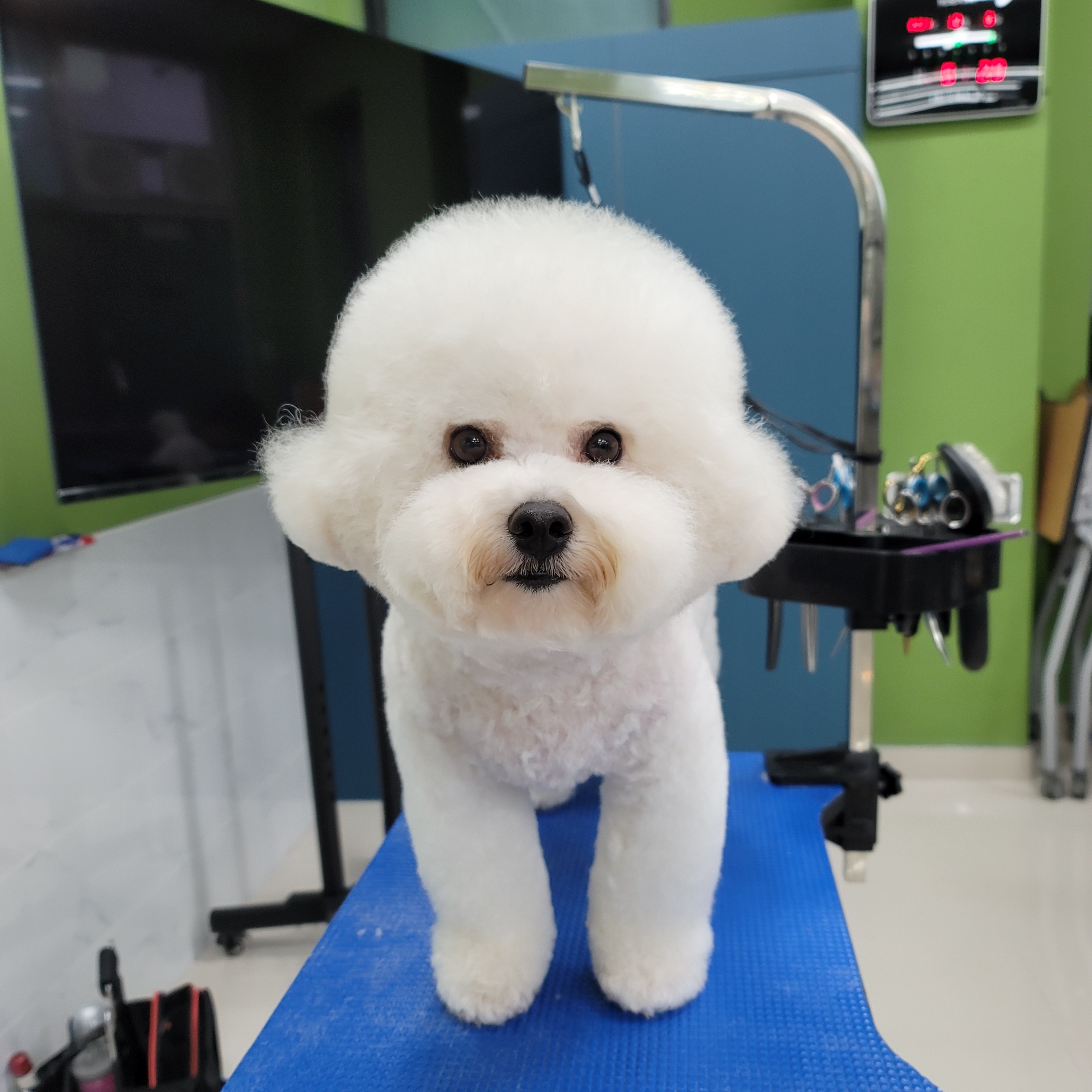 소중한개 대표 이미지