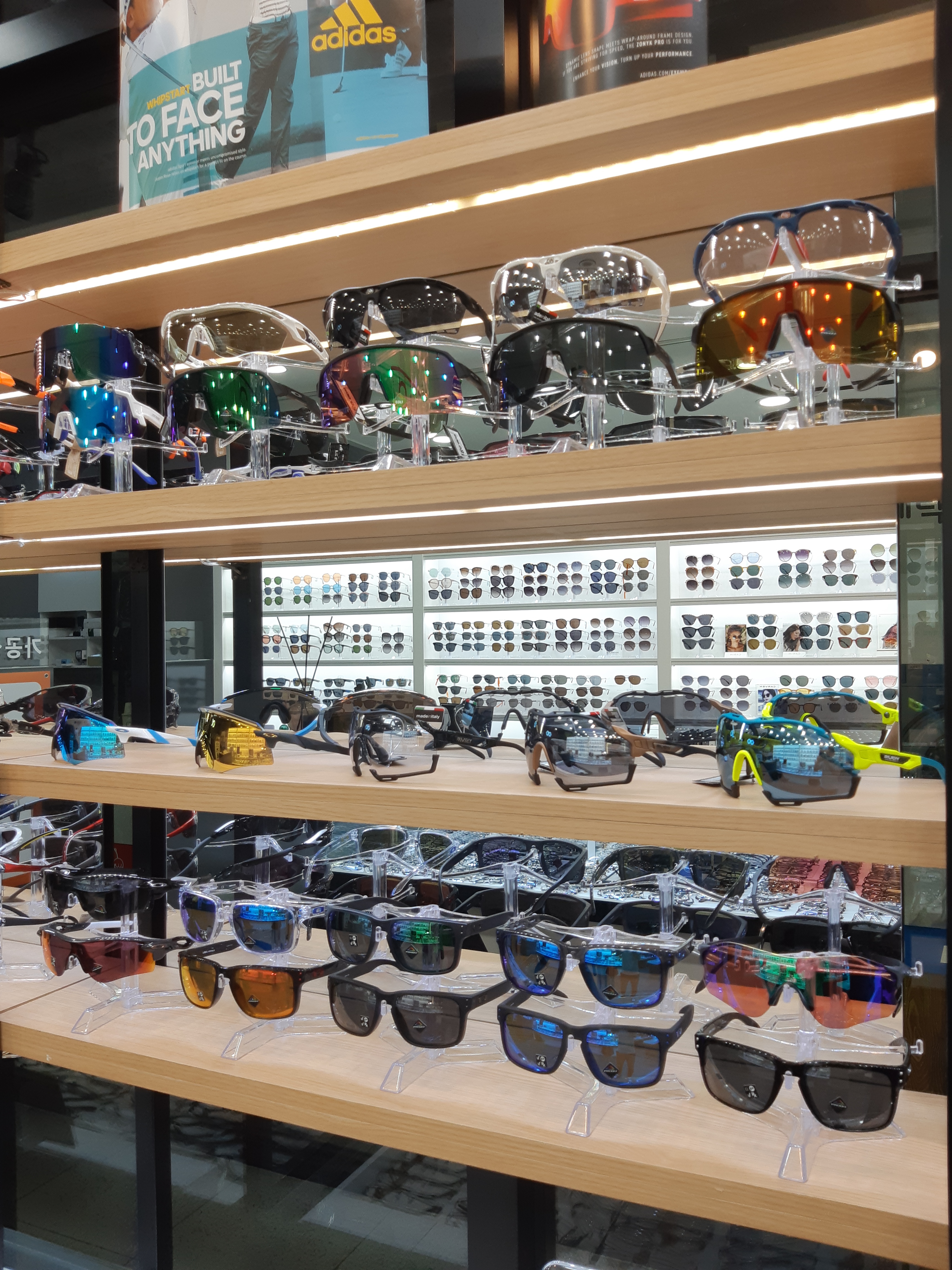 봄안경 대표 이미지