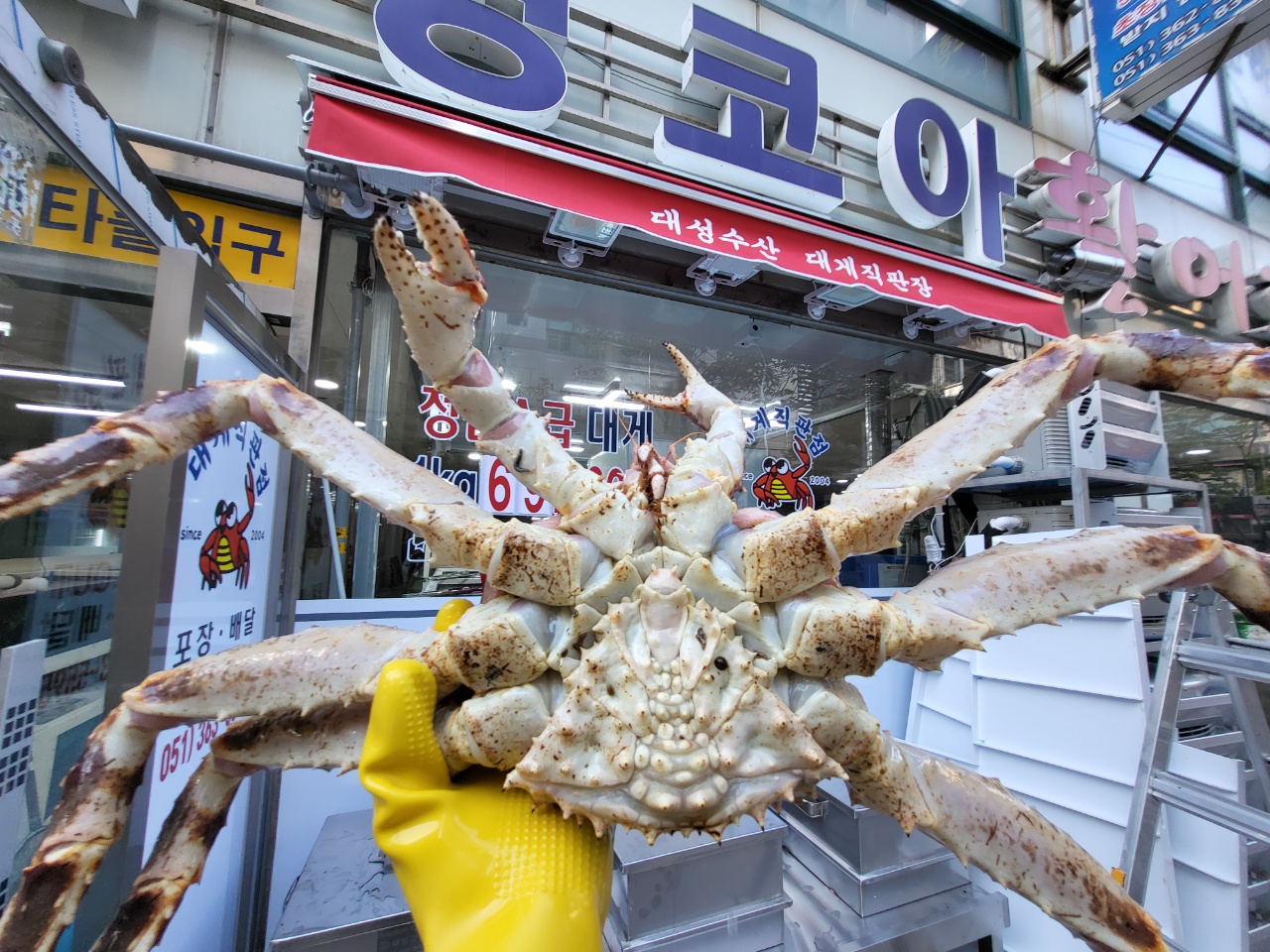대성수산 대게직판점 부산화명점