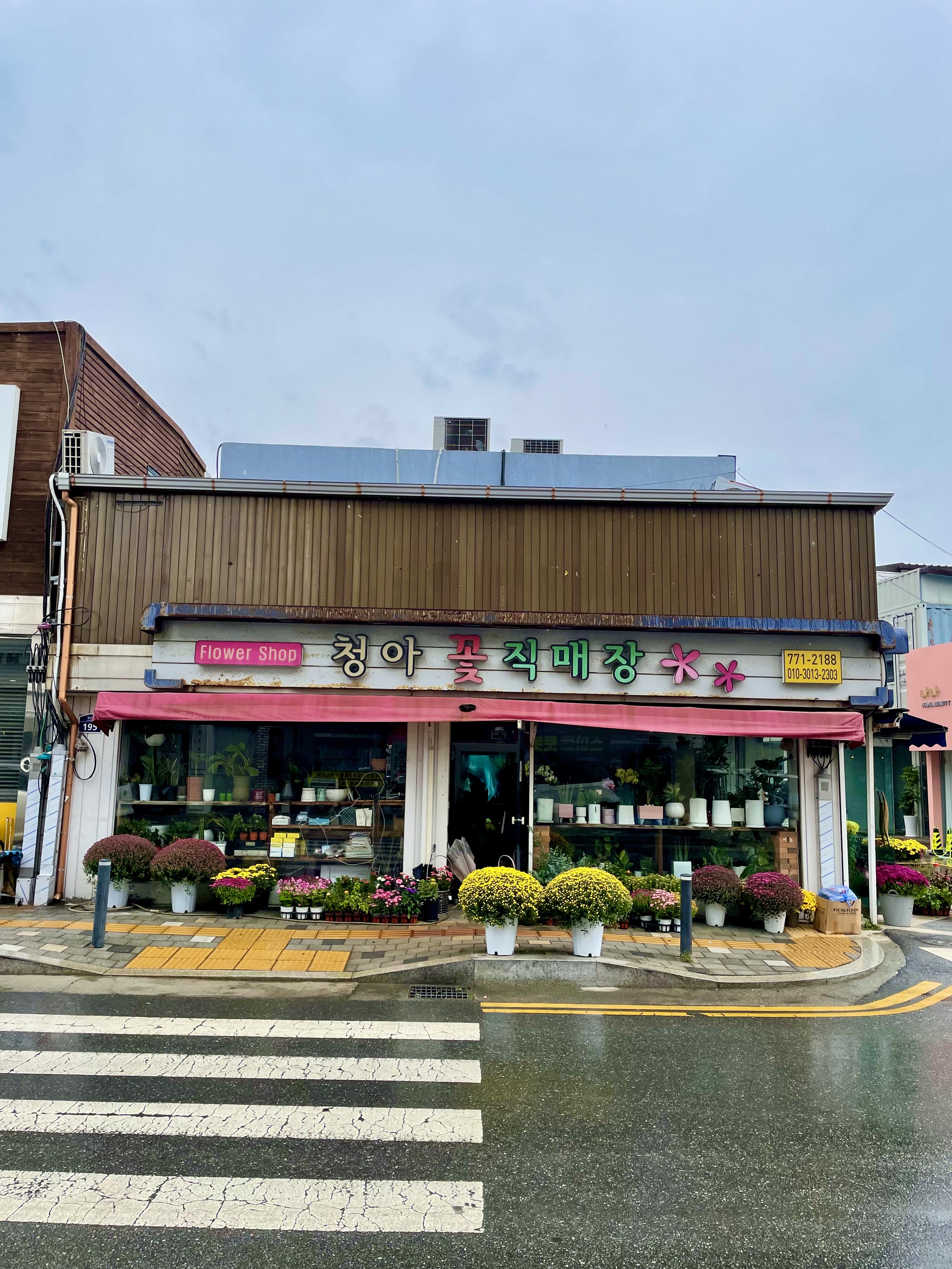 청아꽃집