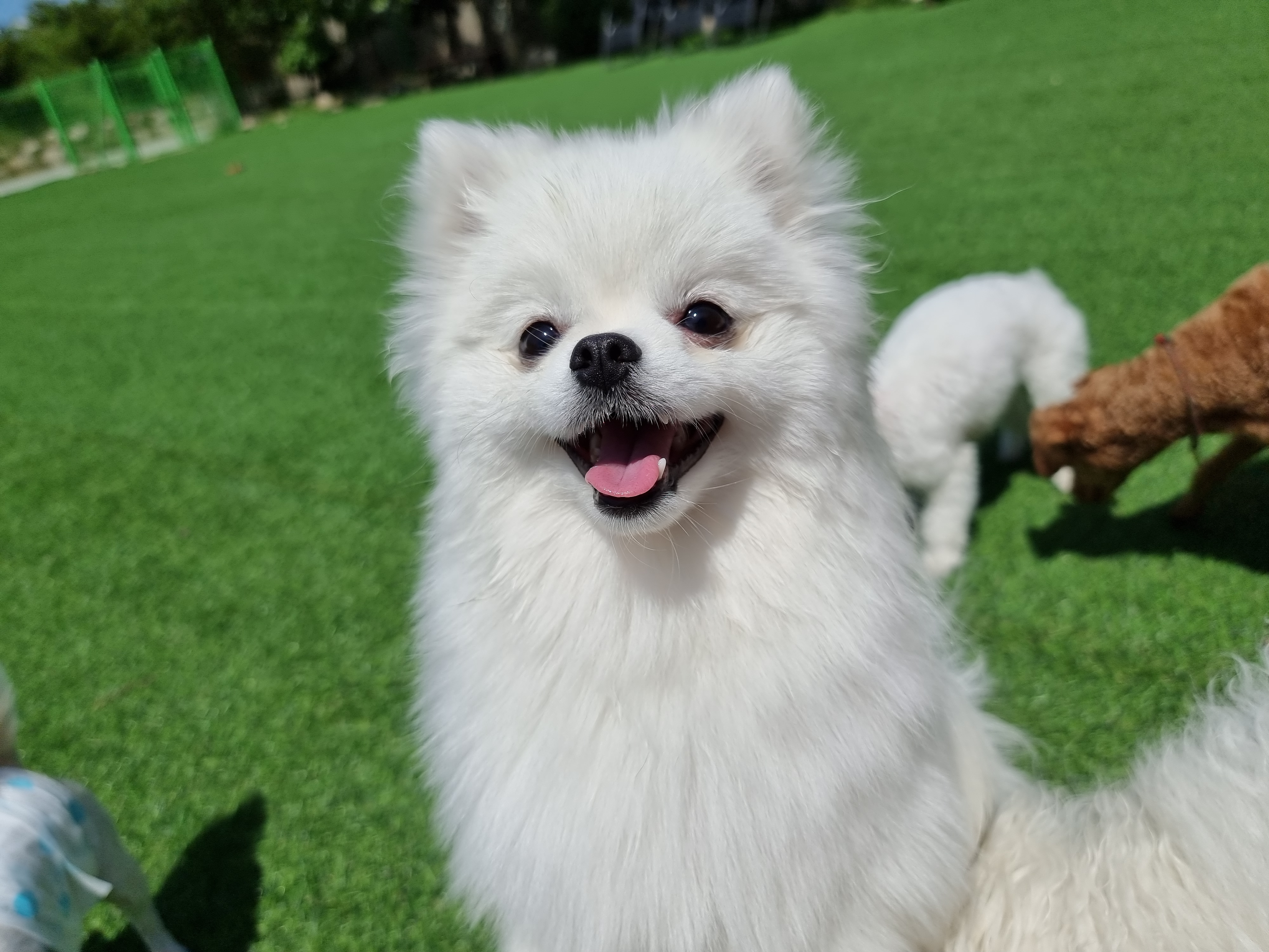 대광해수욕장 사진 3