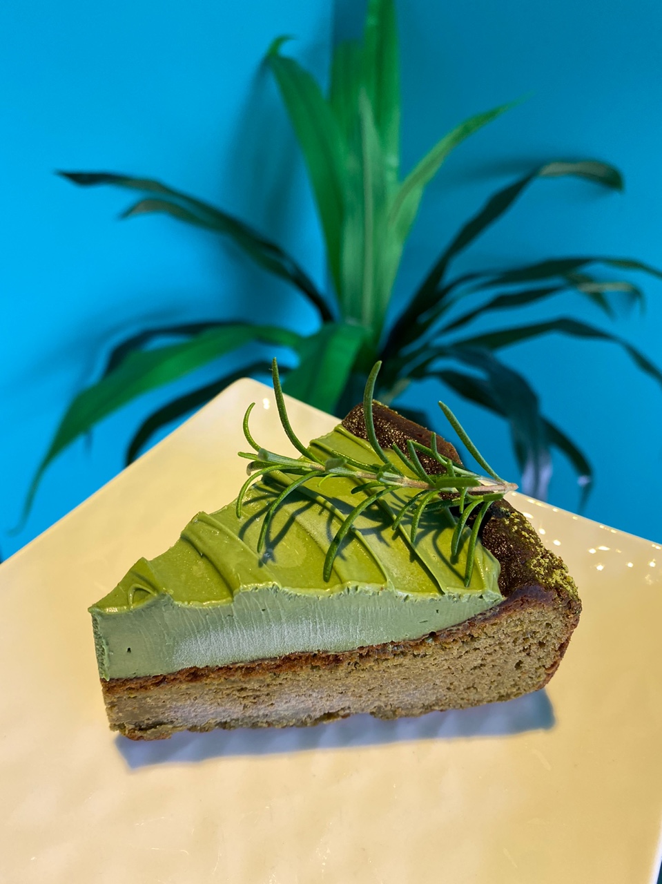 스페이스오드 대표 이미지