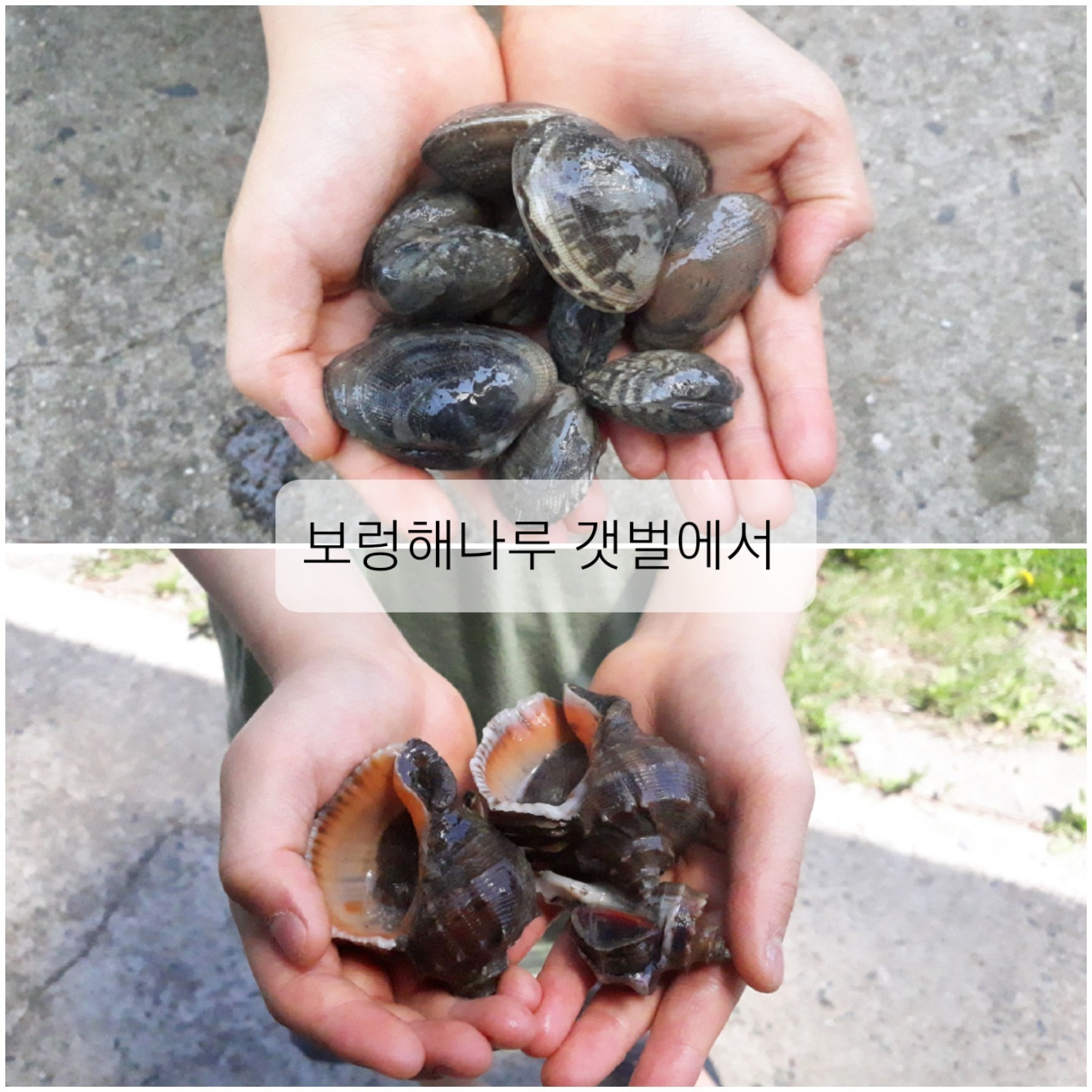 해나루민박