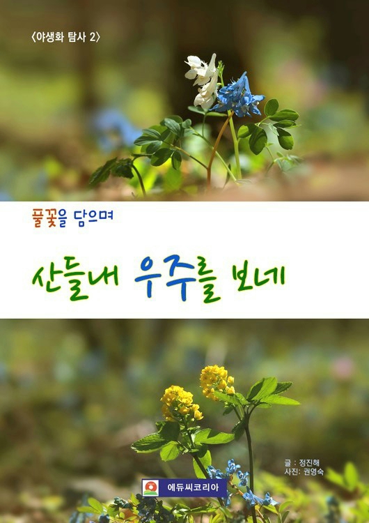 에듀씨코리아