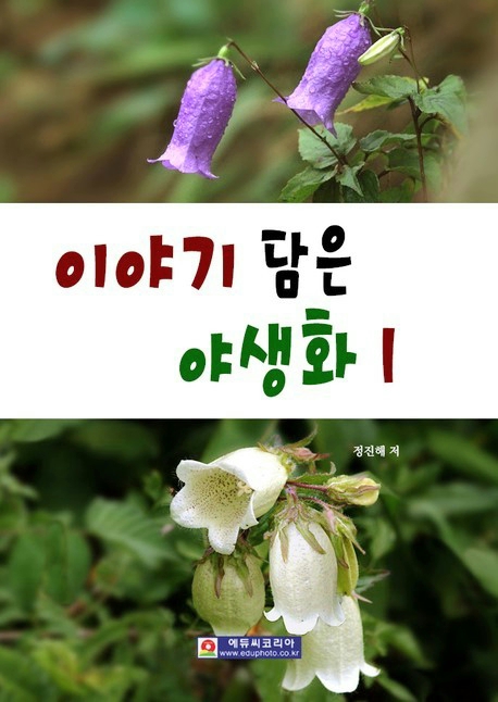 에듀씨코리아