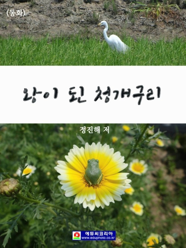에듀씨코리아