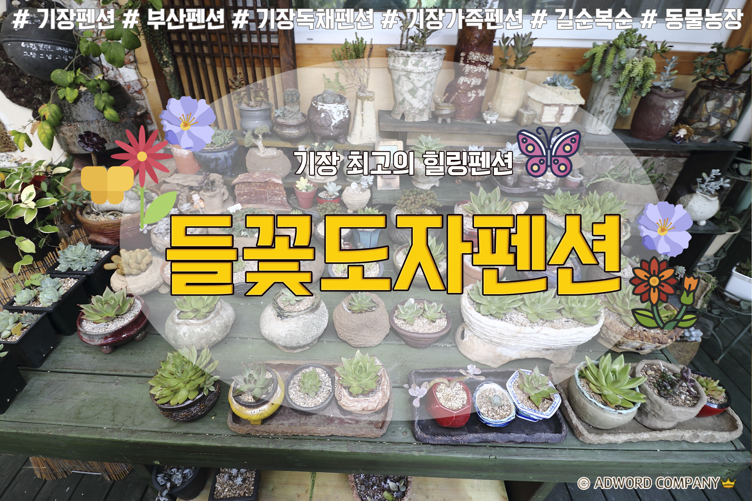 들꽃 반려동물 동반 애견카페