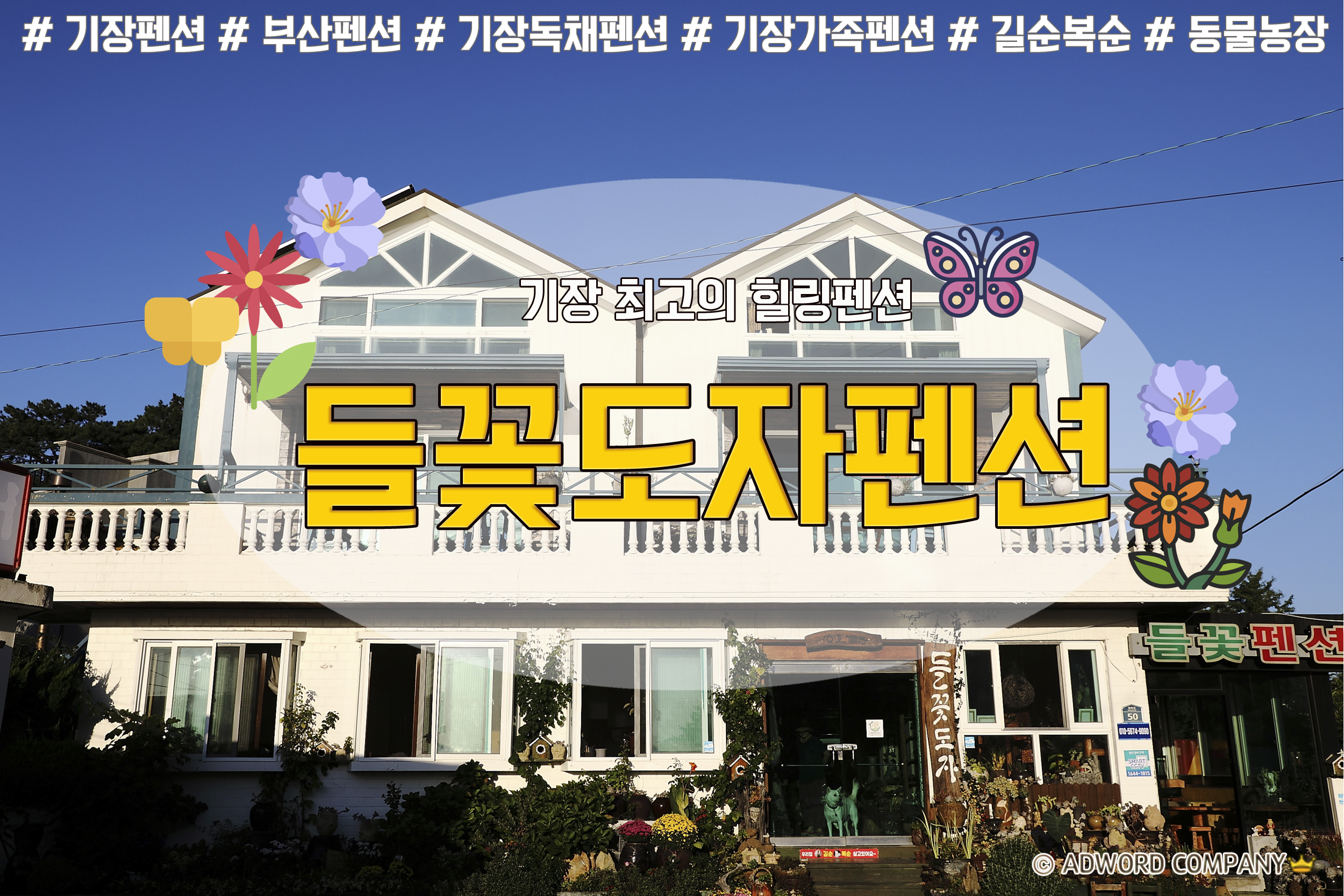 들꽃 충청 애견숙소