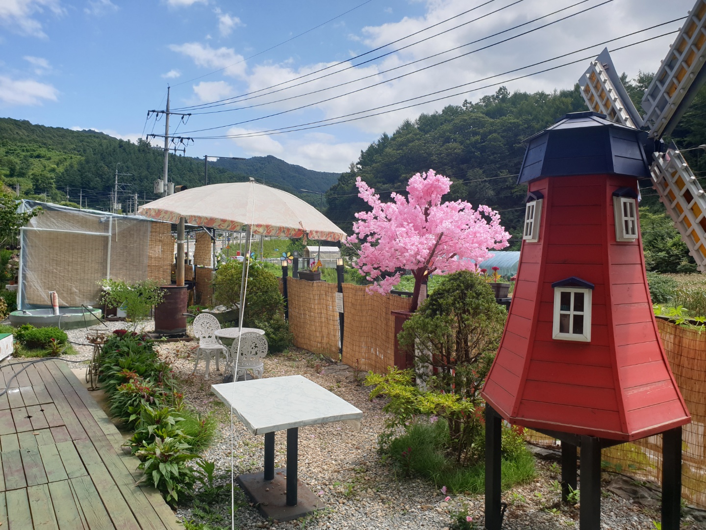 카페블로썸 경상 애견맛집