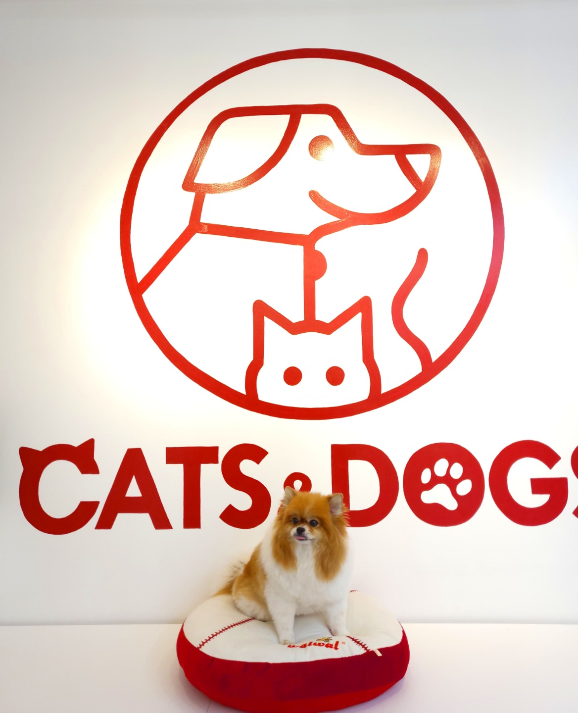 캣츠앤독스 대표 이미지