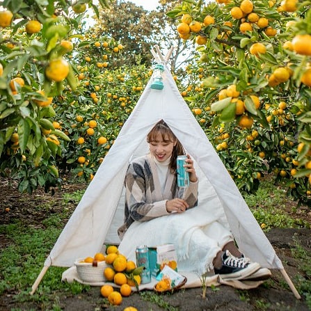 카페귤한가
