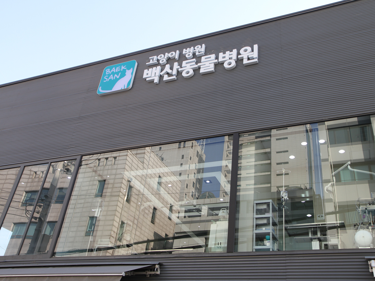 주변 가볼만한 곳