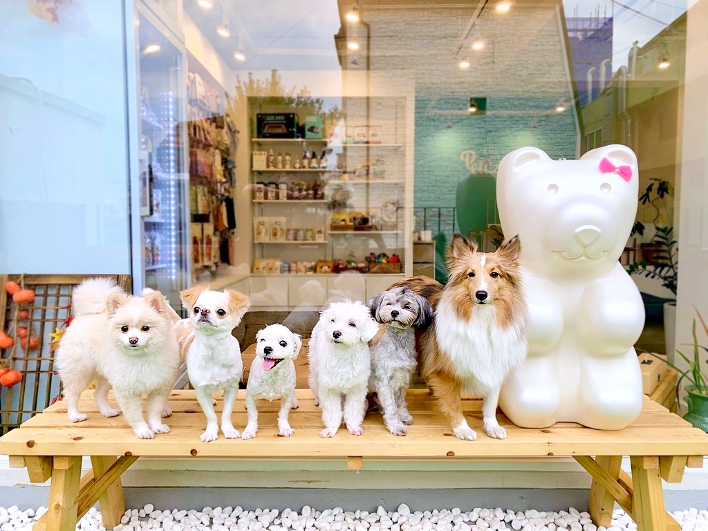 주변 가볼만한 곳