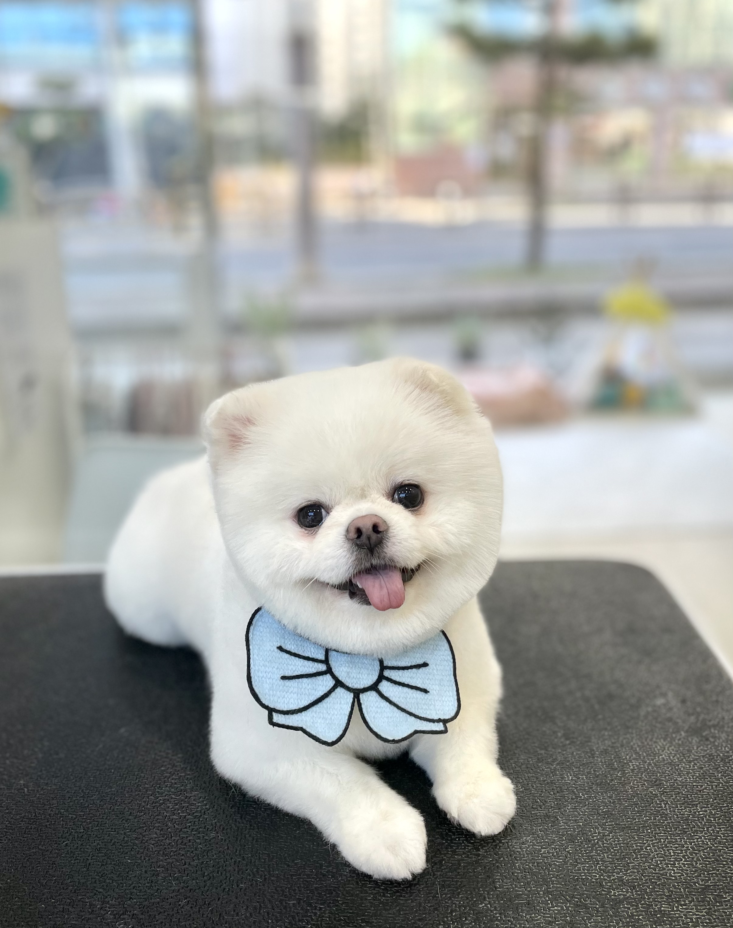 마음이네멍발소 대표 이미지