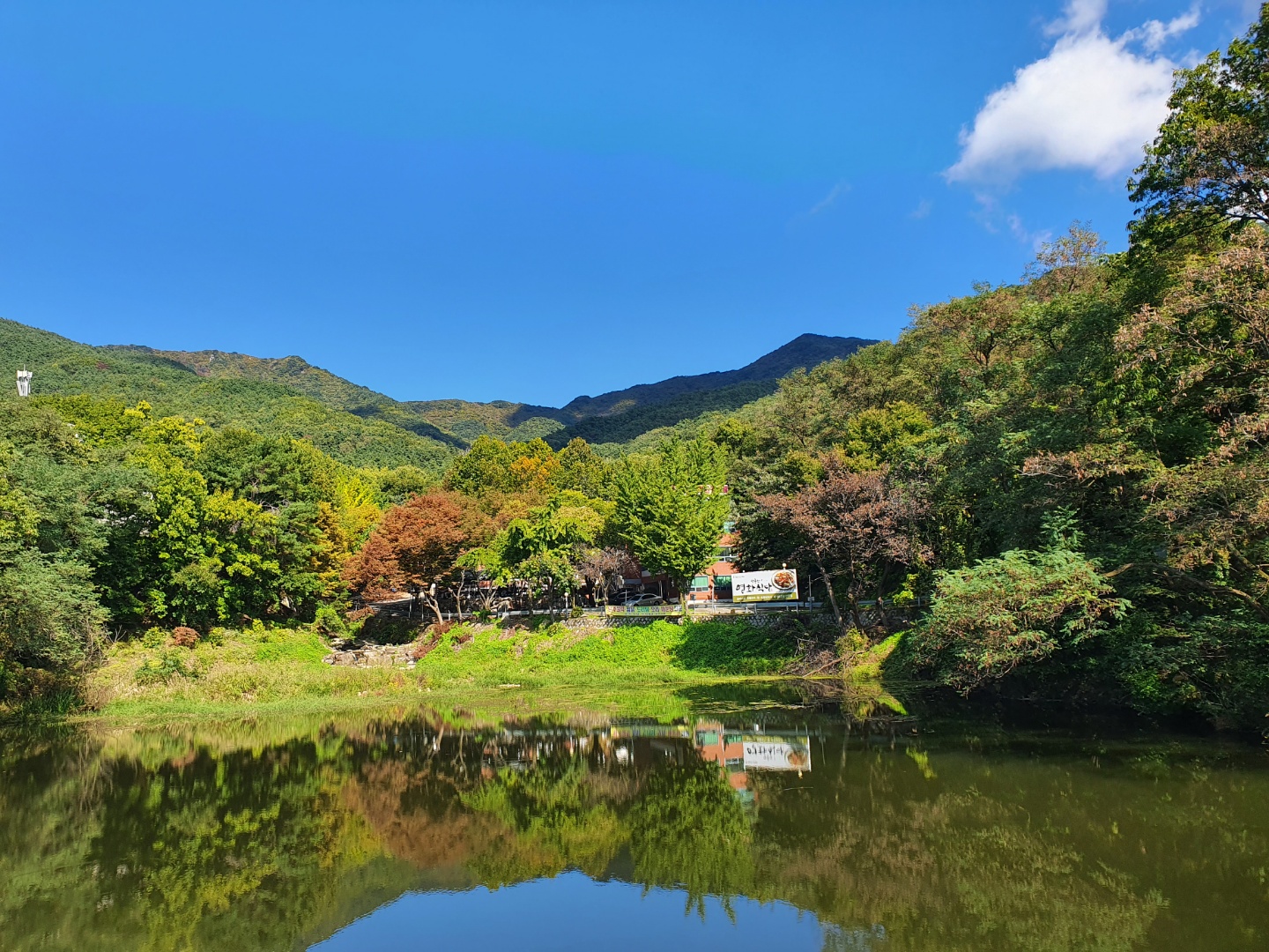 팔공산 영화식당 사진 4