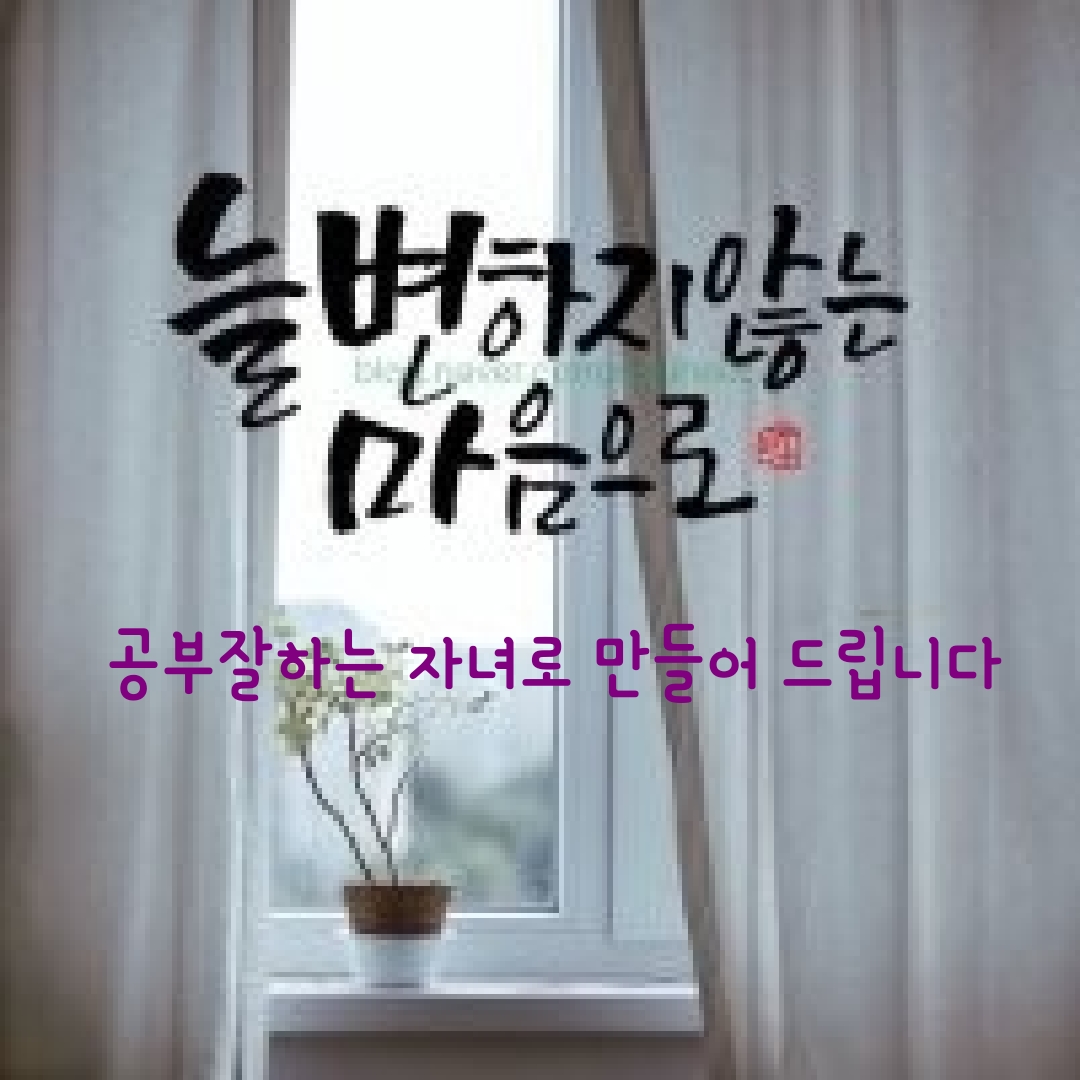 메타플랜학원