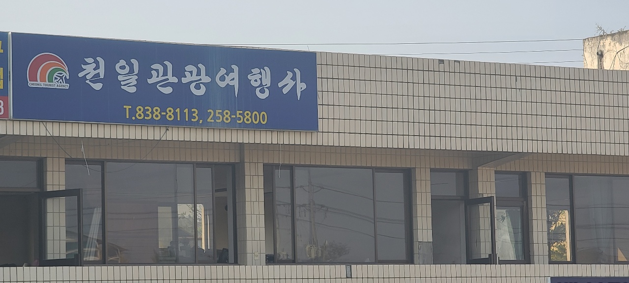 천일관광여행사