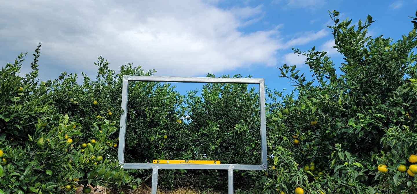 탐라 라이프 대표 이미지