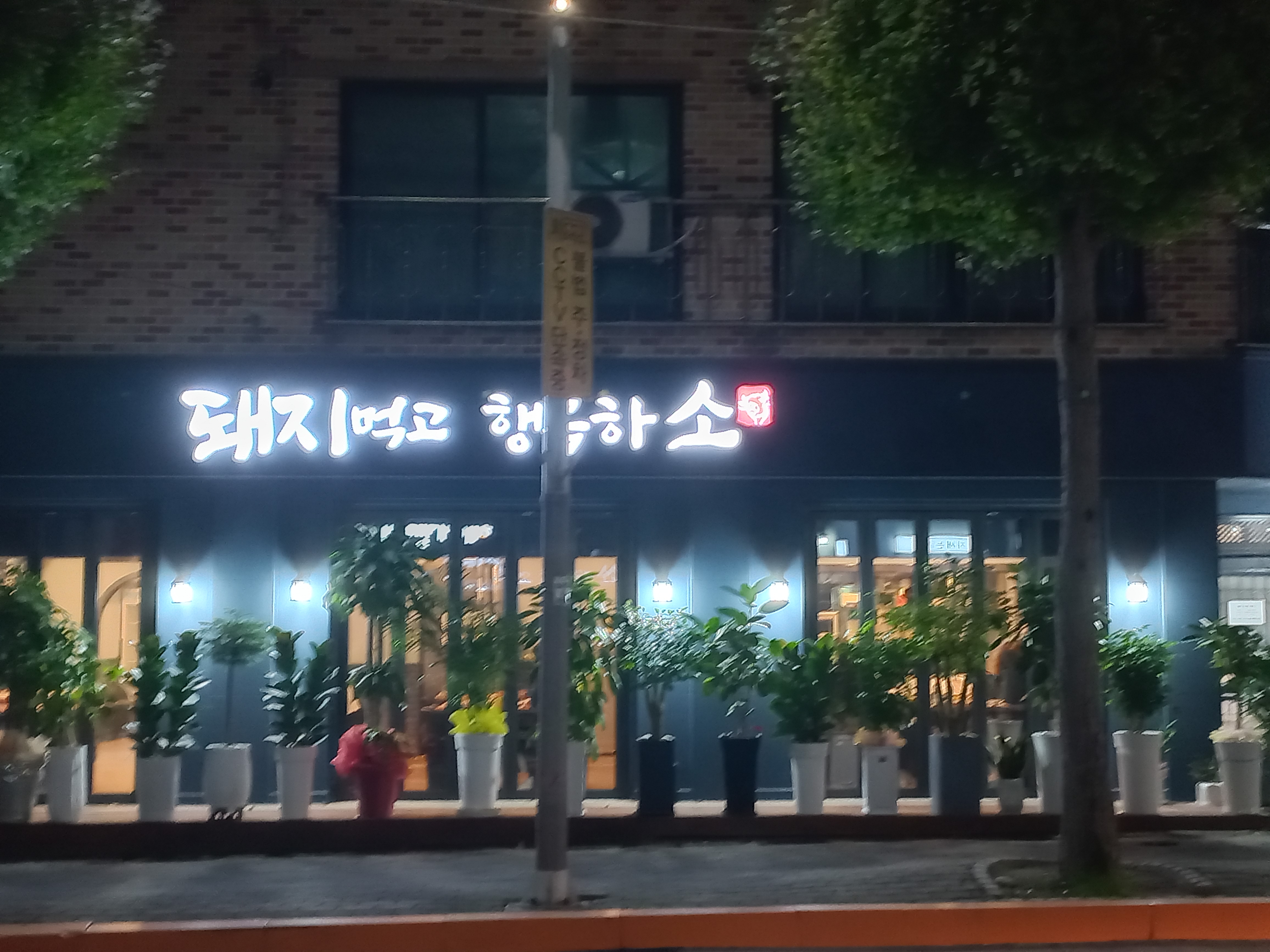 돼지먹고행복하소