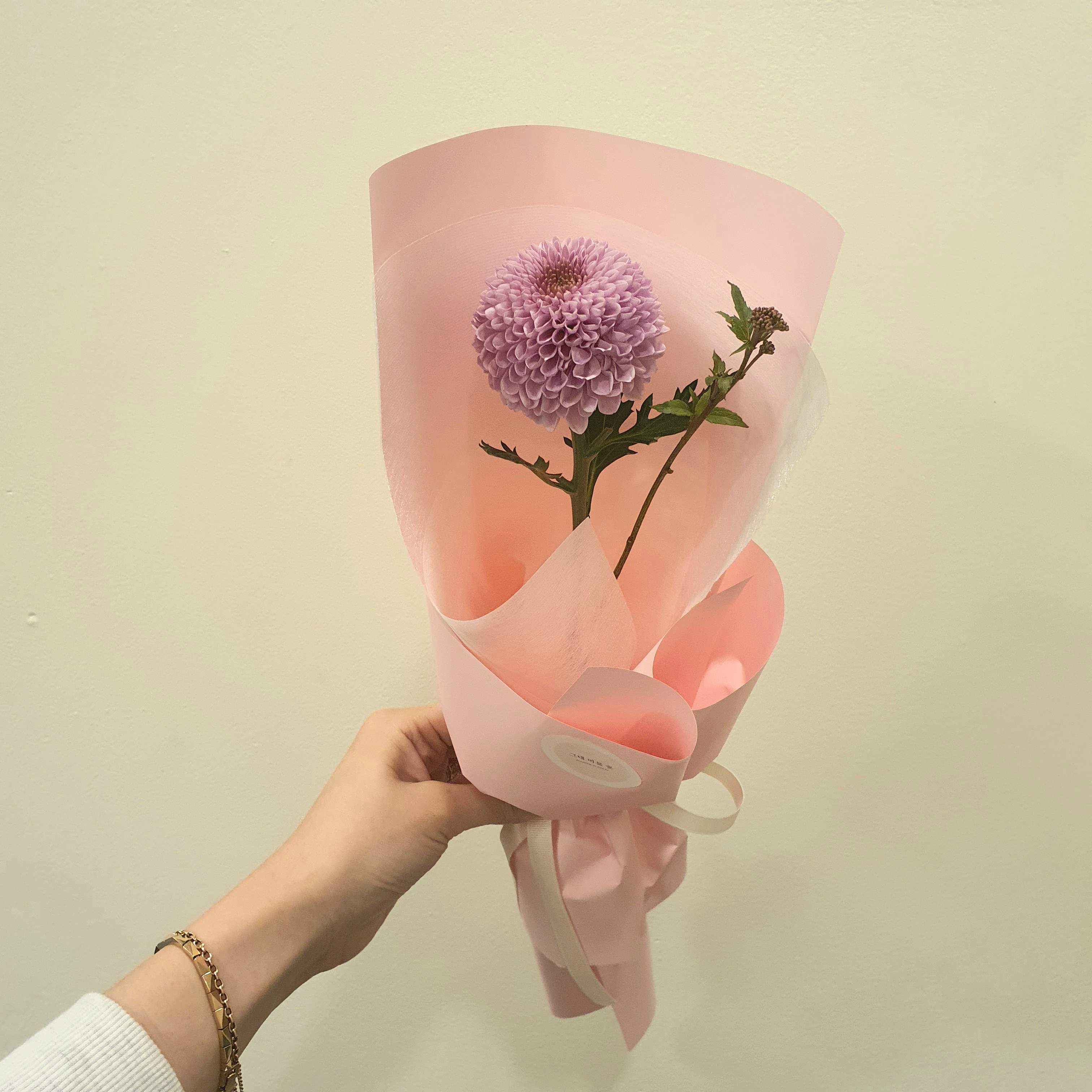 그대머물꽃