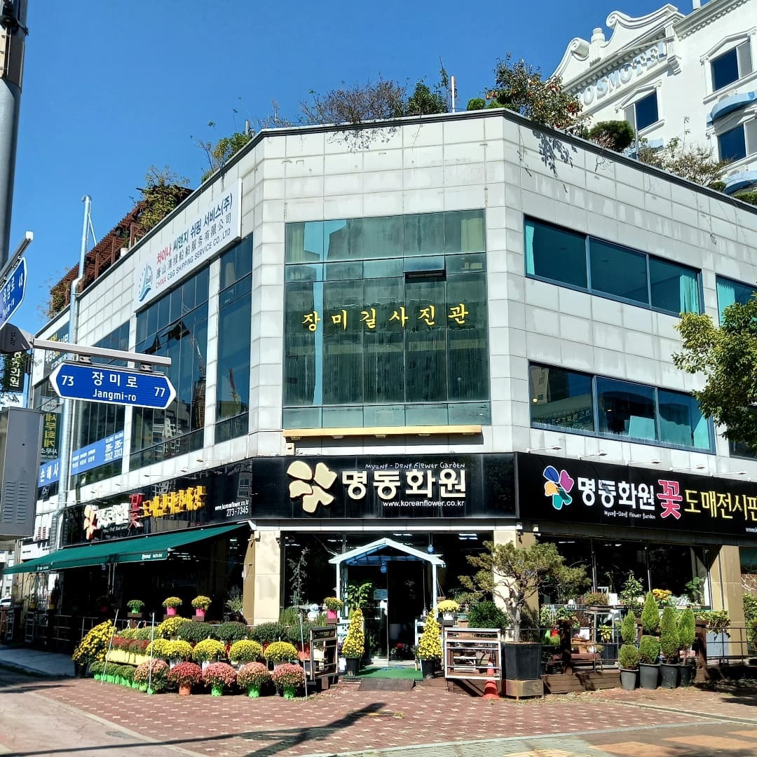 장미길사진관