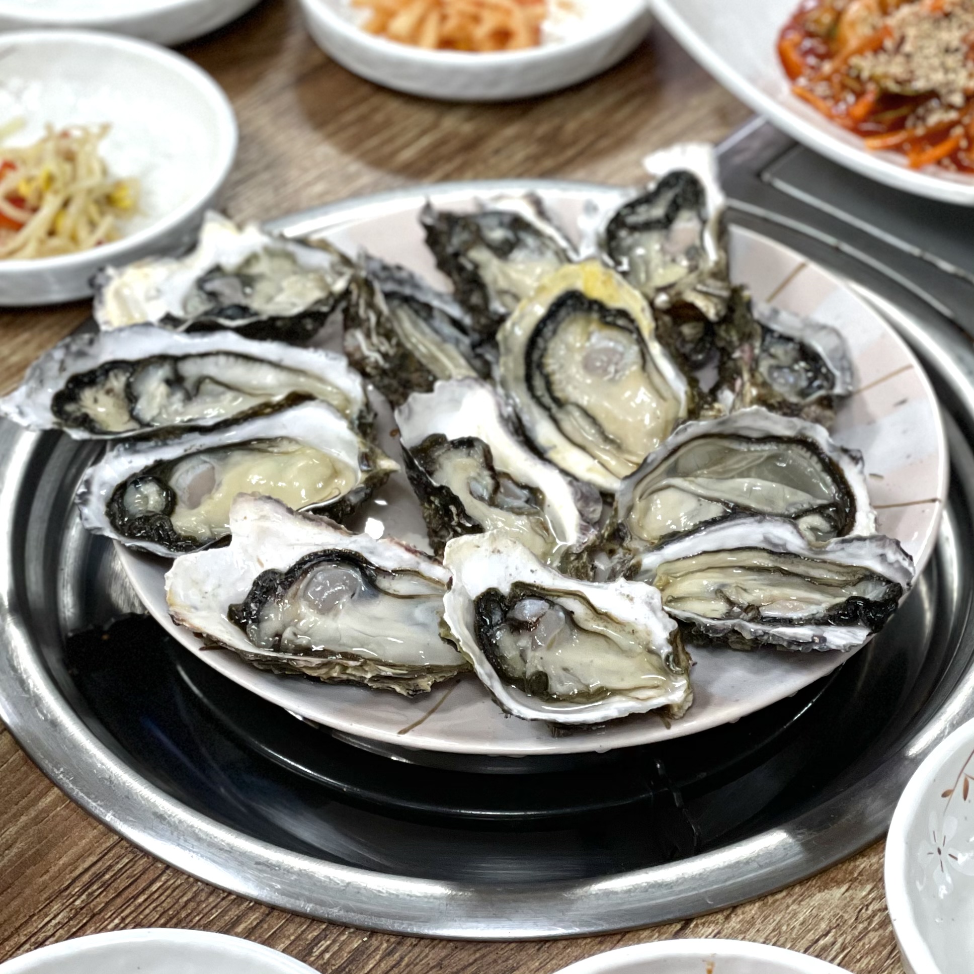동피랑굴촌 경상 애견맛집