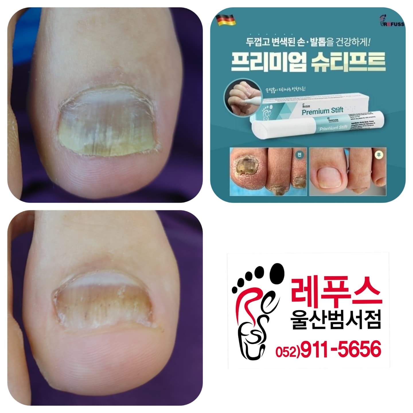 레푸스 울산범서점