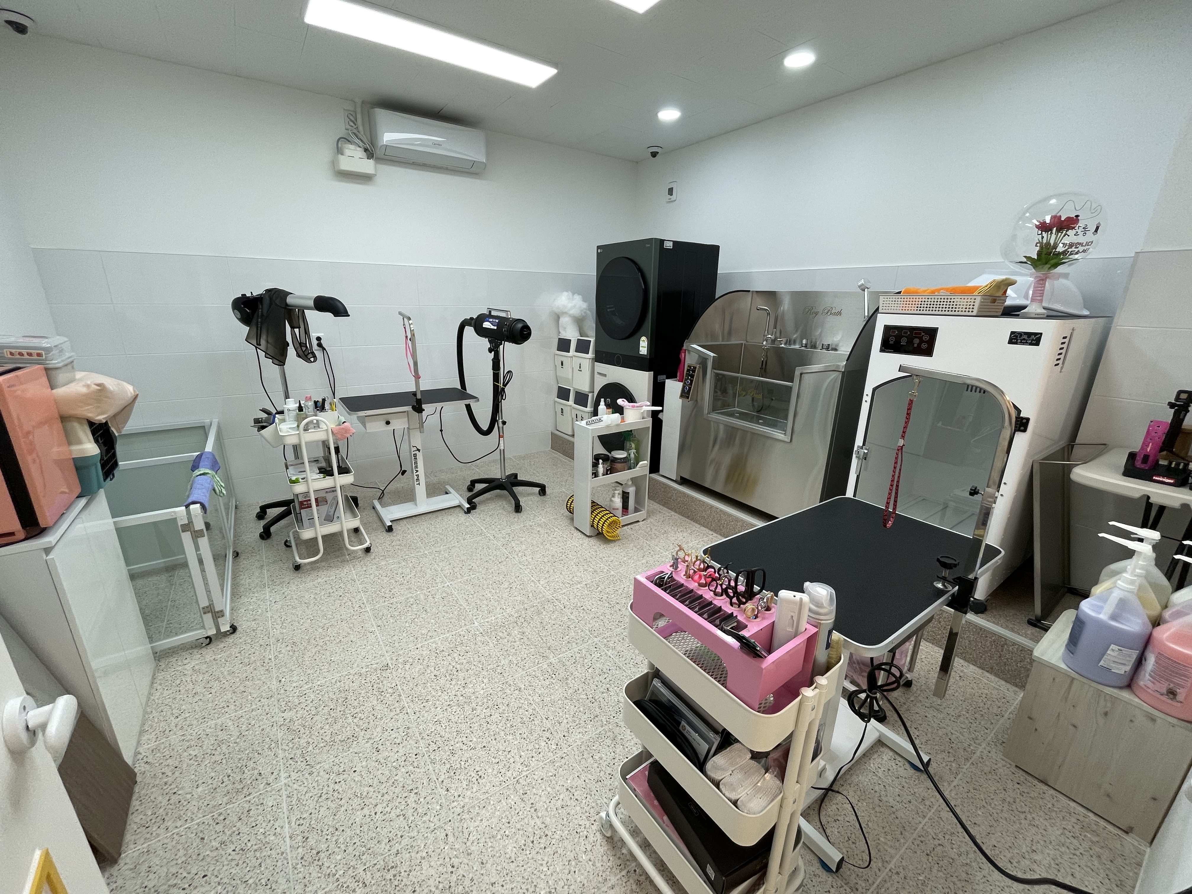 멍지펫살롱 대표 이미지